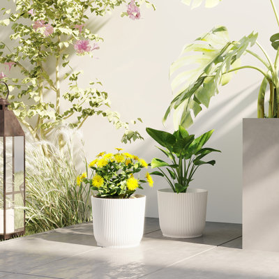 Pot Planter