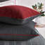 Connery Velvet Square Pillow Cover & Insert