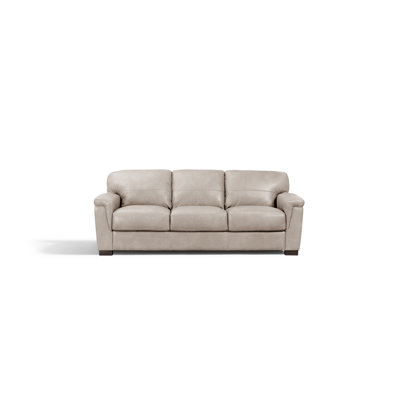 Aspelare 91'' Leather Sofa