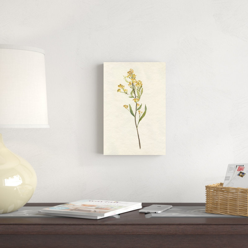 "Delicate Yellow II" by Jennifer Goldberger Mixed Media Floral Painting Print , 12" H x 8" W  , No, Wrapped Canvas