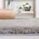 Machine Woven Grey Indoor Rug