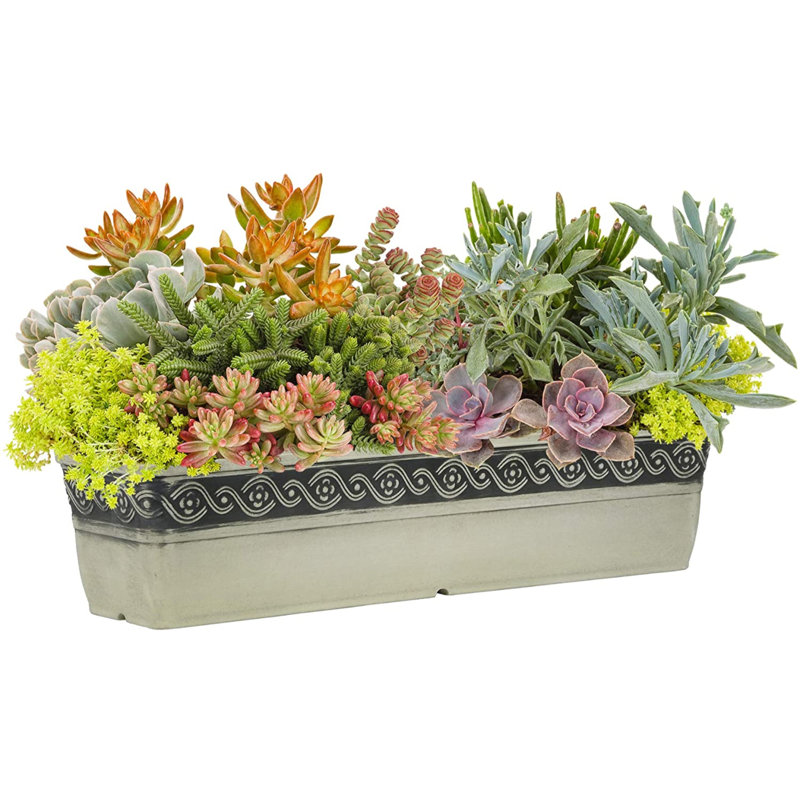 Cherisa Planter Box, Concrete Gray