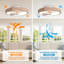 Ceiling Fan with LED Lights