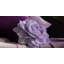 Housse de coussin décoratif décoratif à motif floral rose Simulation-1460310667-1460310674