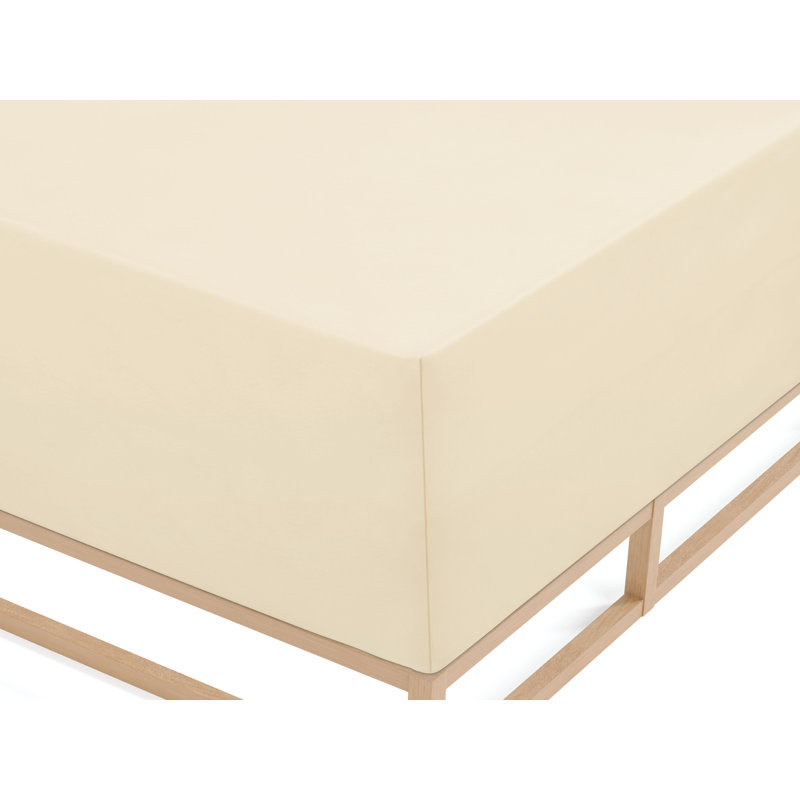 100% Cotton Jersey Knit Fitted Sheet, Champagne, 90-100 x 190-220 cm