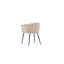 Bryton Velvet Side Chair