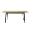 Fidelia Extendable Dining Table