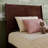 Avdesh Solid Wood Sleigh Trundle Extra Bed-1789888716-1789888561
