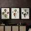 Sowerby Shells I  -Custom Framed  Wrapped Gallery Canvas - 3 Pieces-571147855-571147851