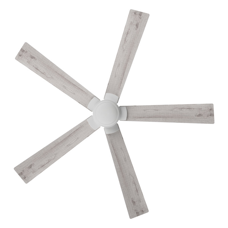  60'' 5 Blades DC Motor Ceiling Fan with Downrod, Remote Control, without Light, Light Wooden