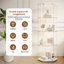 Display Cabinet-2097548565