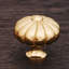 CK Series Knob-12829769-12829770