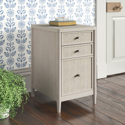 Shannen 2-Drawer Vertical Filing Cabinet