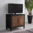 Deerfin 2-Door Wood Accent Chest-2010684863