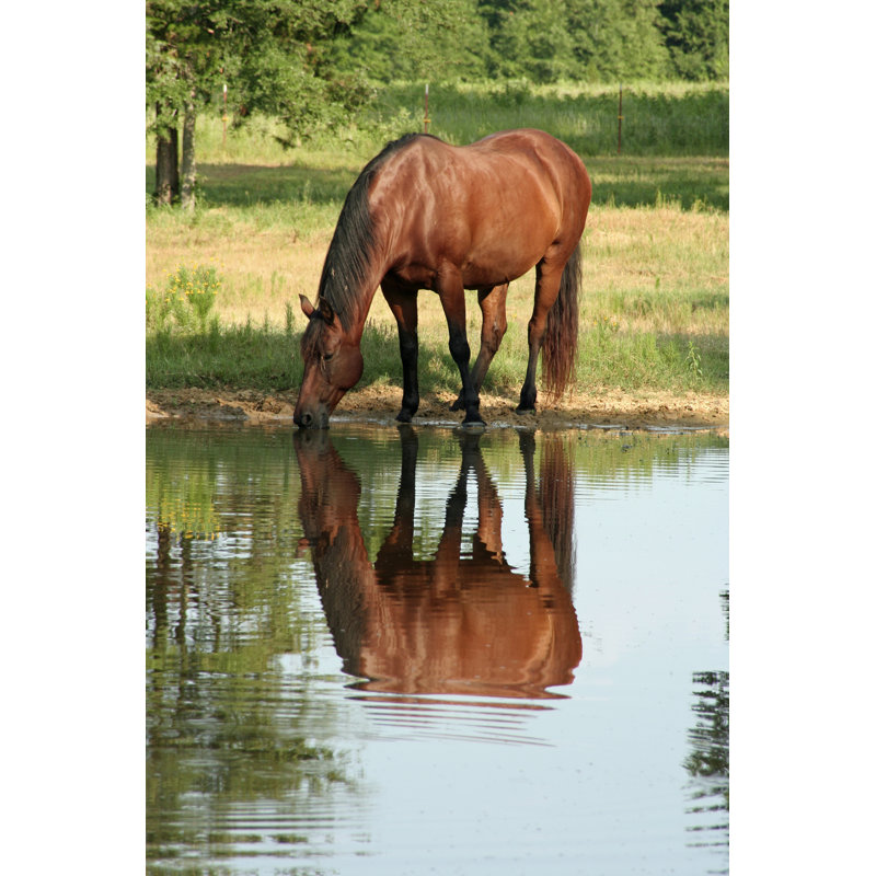 Pond Reflection - Wrapped Canvas Print, 46cm H x 30cm W