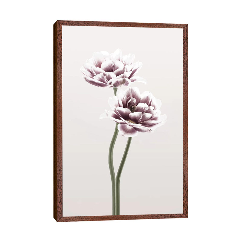Cosmos I - Print on Canvas, 66.04cm H x 45.72cm W x 3.81cm D, Classic Brown Wood Framed