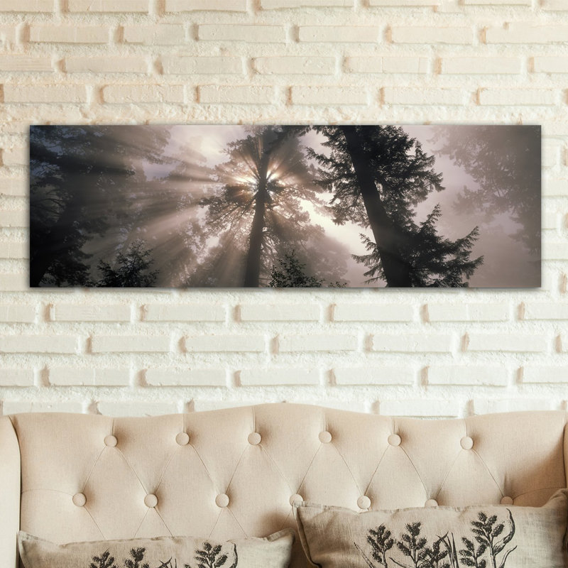 « Panoramic Trees Redwood National Park, California », reproduction de photo sur toile tendue, H 20 po x l 60 po x P 1,5 po