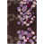 Beige/Marron/Crème/Violet n'est pas disponible