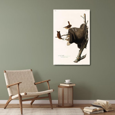 ArtDirect Audubon, John James Gallery Wrapped Canvas Art Titled: House Wren