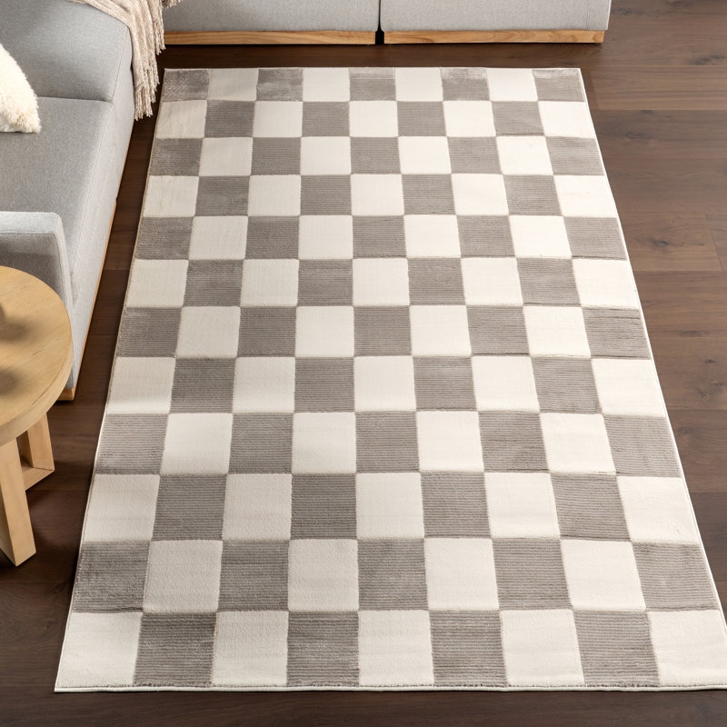 Zhuri Checkered Machine Washable Area Rug, Rectangle 4' x 7'10"