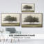 Arbres dans le brouillard II-233045859-233045860