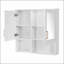 W H Medicine Cabinet Mirror-1648208975