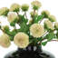 Dahlia Spray Arrangement in Round Glass Vase