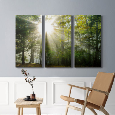 Lumière et arbres II - photographie sur toile tendue 3 pièces