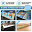 Duo de perroquets sur une branche, crevettes, bleu, vert, jaune-890384510
