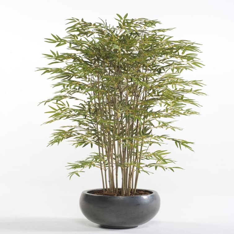 Die Saisontruhe Kunstpflanze Japanischer Bambus im Topf
