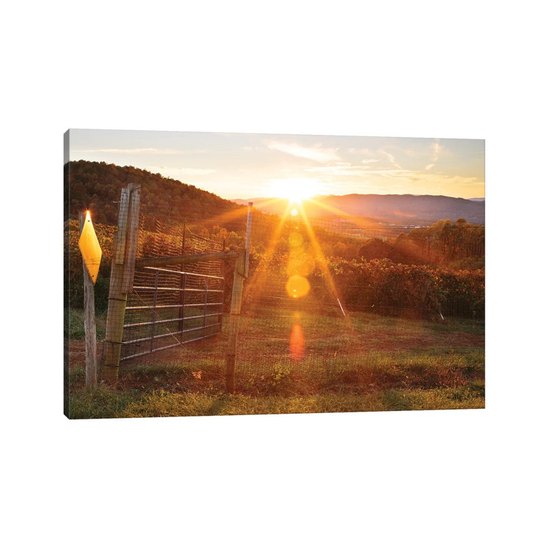 Farm Study VII by Adam Mead - Wrapped Canvas Print, 20.32 cm H x 30.48 cm W