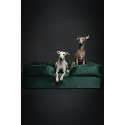 Noah & Paw Giant Dog Bed XXL,  Orthopedic Dog Beds, Eggshell Memory Foam Infused with Cooling Gel, Inner Cover, Waterproof, Machine Washable (Velvet Sofa Collection)