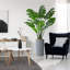 Arbre artificiel dans un pot de fleurs moderne, arbre de soie artificiel Monstera (décoration en pot et arbre)-2047780288-2047780291