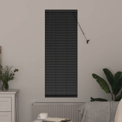 Horizontal/Venetian blind