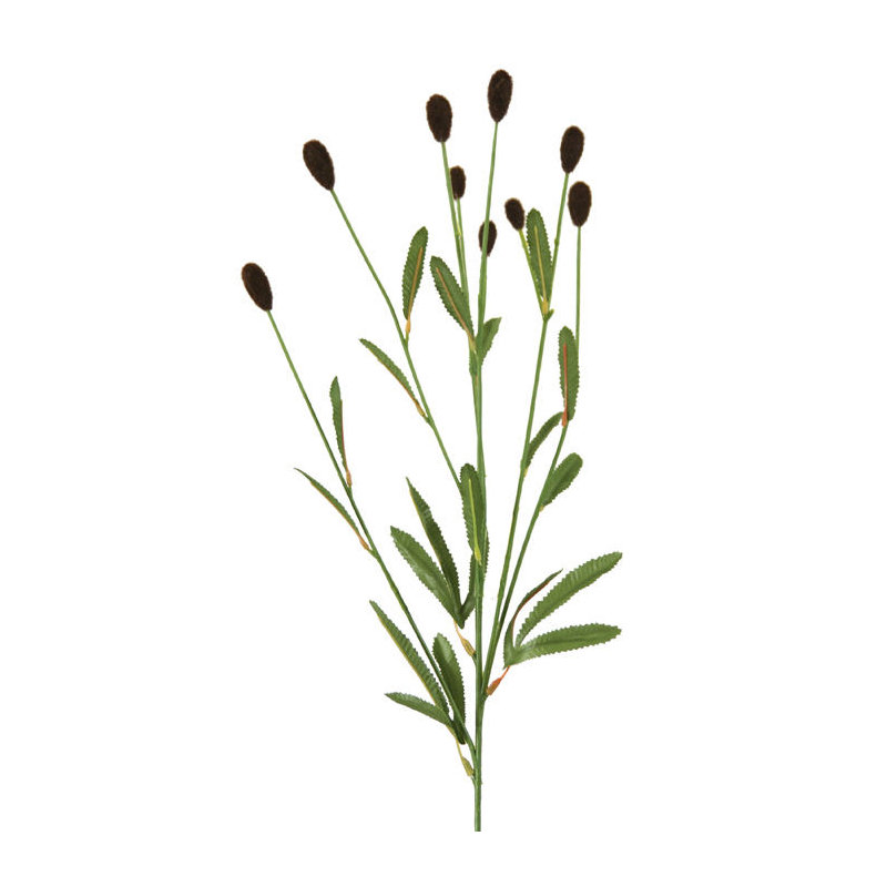 Arrangement