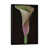 Pas de tapis sélectionné