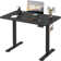 Hieronymus Adjustable Metal Base Standing Desk