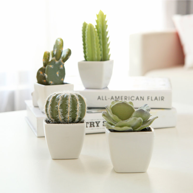 4 - Piece Artificial Succulent in Pot Set