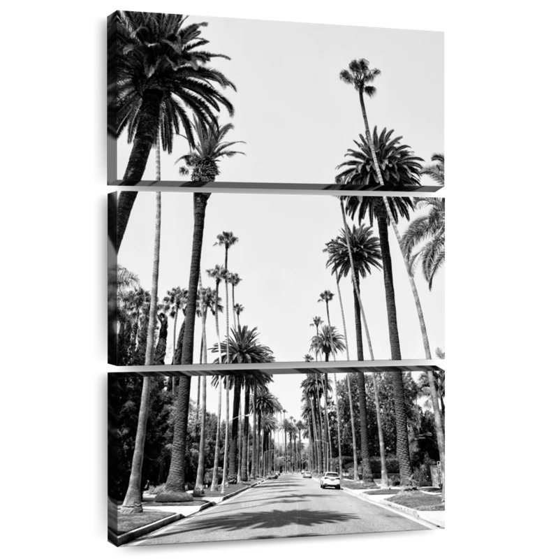 Harnek - Californie - Beverly Hills Palm Alley I, H 45 po x l 28 po