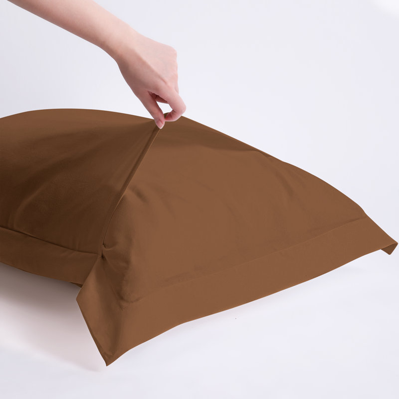 Sham Set, Brown, Euro