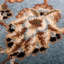 Morejon Oriental Area Rug-16787018