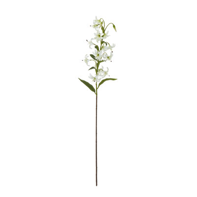 Arrangement