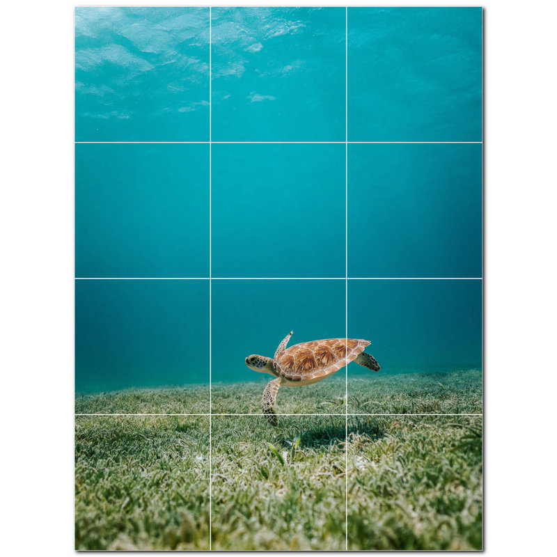 Tortue photo 8 x 8