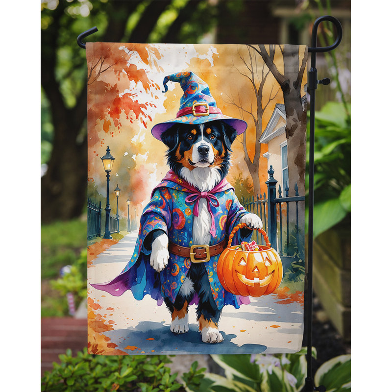 Drapeau du jardin Mastiff, Bouvier bernois