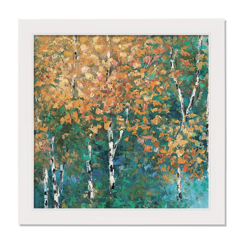 Bouleaux d'automne