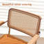 Modern Cantilever Upholstered Rattan Accent Chair Set Of 2-1202590866