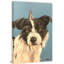 Scruffy Dog 1 Piece Wrapped Canvas Painting-1447137581