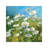 Summer Field II by Summer Field II - Painting on Canvas-1285479911-1285479910