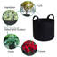 JML Growing Kit-59297217