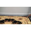 Tapis oriental noir Aracelia-1230544597-1336872008